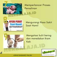 Gambar Kapsul Minyak Zaitun Palestin Extra Virgin Olive Oil Murni Asli - 100 KPS dari HERBALAJA STORE undefined 5 Tokopedia