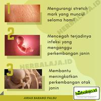 Gambar Kapsul Minyak Zaitun Palestin Extra Virgin Olive Oil Murni Asli - 100 KPS dari HERBALAJA STORE undefined 3 Tokopedia
