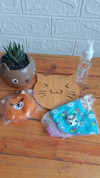 Gambar hampers kaktus mini hadiah ulang tahun dari kaktusQulucu undefined 3 Tokopedia