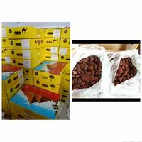 Gambar kurma murah 1 kg solo dari KOSMETIK SOLO 27 undefined 1 Tokopedia