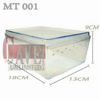 Gambar Mainan edukasi anak paket kelomang umang keong kumang keong Medium dari reptilestore.id undefined 4 Tokopedia