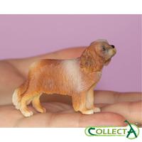 Gambar CollectA 88181 - Cavalier King Charles Spaniel - Animal Figure dari Juragan Dino undefined 2 Tokopedia