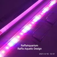 Gambar LED HIKARI PA 800 3X 80 CM 3 MODE LAMPU AQUARIUM 70 CM AQUASCAPE 21W dari Raffa Aquarium Cimahi undefined 3 Tokopedia