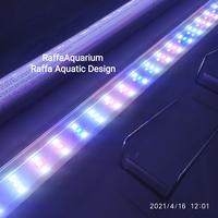 Gambar LED HIKARI PA 800 3X 80 CM 3 MODE LAMPU AQUARIUM 70 CM AQUASCAPE 21W dari Raffa Aquarium Cimahi undefined 1 Tokopedia