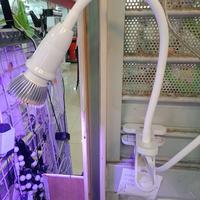 Gambar Paketan Lampu LED Spectrum 28W + Fitting Jepit Grow Light Plant Fruit dari Smart Lighting Kenari Mas Sukabumi undefined 5 Tokopedia