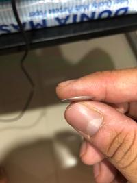 Gambar Plat besi lawan magnet diameter 16 mm (BUKAN MAGNET HANYA PLAT BESI!) dari GracefulShopMagnet undefined 2 Tokopedia