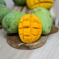 Gambar Mangga Indramayu 1 Kg dari Pangan Daily undefined 1 Tokopedia
