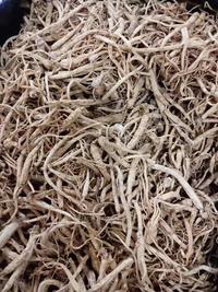 Gambar Akar Ginseng Premium /Yang Shen Xu /Yio Som Chiu 10 gram dari Yuan shun undefined 1 Tokopedia