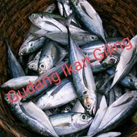 Gambar ikan tenggiri giling super 1kg, cocok untuk pempek, otak2, Siomay, tekwan, dimsum dll. dari Gudang Ikan Giling undefined 4 Tokopedia