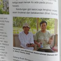 Gambar Sacha Inchi 1kg dari Inchakey202030 undefined 2 Tokopedia