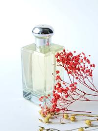 Gambar Parfum Wanita | Parfum Refill | Parfum Channel Madam Moiselle - 30 ML, Standart dari Makai Perfume undefined 2 Tokopedia