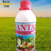 Gambar Perekat perata dan pembasah MANTAB 500ML dari Tokorayatani undefined 1 Tokopedia