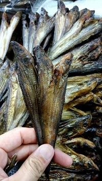Gambar ikan salai selais 250 gram dari edostore12 undefined 2 Tokopedia