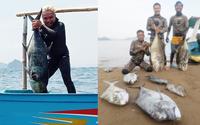 Gambar Speargun Panah Ikan Gold130 HSL Paser Ikan Lombok Speargun 2 rubber dari LoadThe team undefined 5 Tokopedia