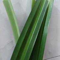 Gambar Daun Pandan wangi segar dari TAJUL BIBIT DAN FLORIST undefined 2 Tokopedia