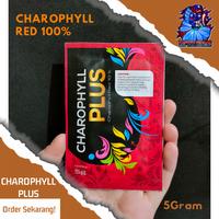 Gambar Charophyll Plus - Charophyll Red 100% 5Gram dari Kapten Cupang undefined 1 Tokopedia