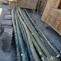 Gambar Bambu Ori 4m dari Kartika Bamboo Sidoarjo undefined 5 Tokopedia