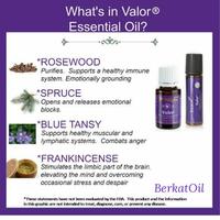 Gambar Valor Roll On Young Living Alifbatastore dari alifbatatokoo undefined 3 Tokopedia