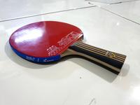 Gambar Bat Pingpong / Bat Tenis Meja DOUBLE FISH K3 + Cover Original dari kinantisport undefined 4 Tokopedia