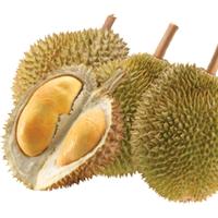 Gambar PUPUK DURIAN TERBAIK, Booster Pohon Buah Durian montong cepat berbuah dari Supplier Pupuk Indonesia undefined 2 Tokopedia