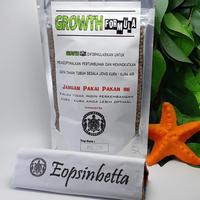 Gambar Pellet JKK GROWTH 100 GRAM MAKANAN KURA KURA AIR UNTUK PERTUMBUHAN dari Eopsinbetta undefined 4 Tokopedia