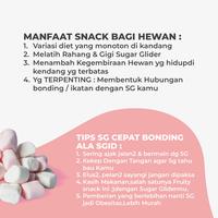 Gambar Mini Marshmallow Marshmellow snack favorit sugar glider termurah 35gr dari SUGAR GLIDER ID STORE undefined 3 Tokopedia