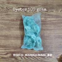 Gambar oyster atau kulit kerang isi 500 gram untuk menetralkan ph air. dari toko bangunan88 undefined 1 Tokopedia
