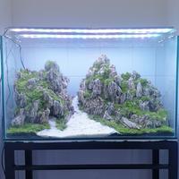 Gambar aquascape fullset 80 cm order an pak dityo dari aquapidesign undefined 1 Tokopedia