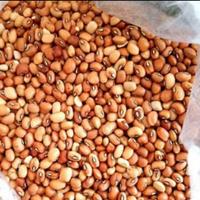 Gambar kacang tunggak/Tolo 500 gram dari Cahaya makmur plastik Jakarta undefined 1 Tokopedia