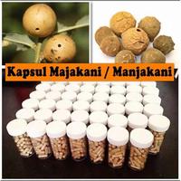 Gambar 60 Kapsul Majakani Manjakani Murni untuk masalah Kewanitaan Keputihan dari AG Herbal Asli undefined 2 Tokopedia