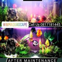 Gambar Jasa Pembersihan Aquarium Aquascape Profesional Adistyaputri99 dari adstyaputri undefined 1 Tokopedia
