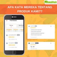 Gambar Ember Bekas Es Krim 8 Liter - Wadah Hidroponik Sistem Dutch Bucket - Merah dari Rumahponik undefined 4 Tokopedia