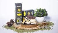 Gambar Bakpia Rasa Coklat Kemasan Kecil dari Bakpia Potret Djokdja undefined 1 Tokopedia