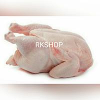 Gambar ayam negeri premium 1,1kg/ekor dari RKshop2306 undefined 1 Tokopedia