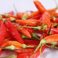 Gambar Cabe Rawit Merah Segar - 250 Gram dari Pasar Online Kebayoran undefined 1 Tokopedia