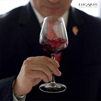 Gambar Lucaris Desire Universal Wine Glass 420ml /Gelas Wine Kristal - 420ml dari Ocean Glass Indonesia undefined 3 Tokopedia