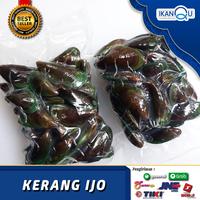 Gambar KERANG IJO SEGAR 1Kg / Kerang Seafood Segar / Kerang Hijau Besar Fresh dari Ikan Qu Jakarta undefined 2 Tokopedia