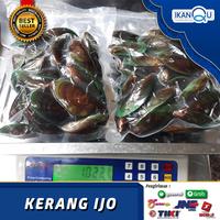 Gambar KERANG IJO SEGAR 1Kg / Kerang Seafood Segar / Kerang Hijau Besar Fresh dari Ikan Qu Jakarta undefined 3 Tokopedia
