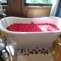 Gambar Rose Petals / Kelopak Bunga Mawar Asli Segar dari Hafflorist undefined 5 Tokopedia