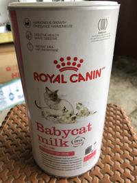 Gambar Susu kucing kitten pouch ROYAL CANIN 100g dari StarplasticsJTW undefined 1 Tokopedia