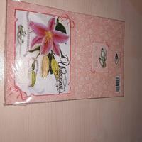 Gambar Kartu Undangan Nikah 1 pak isi 50 (19cm x 26.5cm) dari D888_NEW undefined 2 Tokopedia