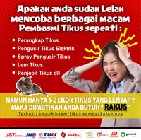 Gambar RAKUS Racun Tikus / Perangkap tikus / Membasmi tikus sampai koloninya dari Barrits Otomotif undefined 3 Tokopedia