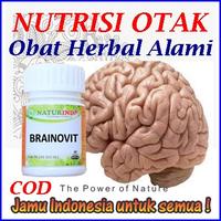 Gambar BRAINOVIT Vitamin Otak Dewasa Peningkat Daya Ingat Mencegah Pikun dari sentana herbal undefined 4 Tokopedia