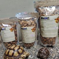 Gambar MAZURI DIET TORTOISE/MAZURI DIET/PELET KURA 500GR dari monkeynpenguin undefined 1 Tokopedia