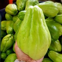 Gambar Labu siam besar 1 buah dari Jbm juragan bawang merah store undefined 1 Tokopedia