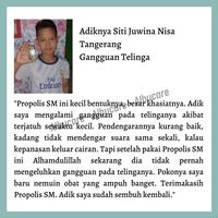 Gambar Obat Sakit Telinga Herbal, Obat Telinga Berair dan Gatal - Propolis SM dari JOBA STORE undefined 4 Tokopedia