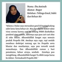 Gambar Obat Sakit Telinga Herbal, Obat Telinga Berair dan Gatal - Propolis SM dari JOBA STORE undefined 3 Tokopedia