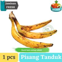 Gambar Pisang Tanduk | Pisang Byar By Pangan Export Indonesia dari Pangan Export Indonesia undefined 1 Tokopedia