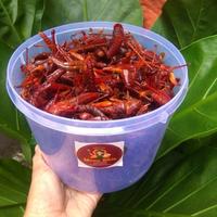 Gambar Promo!!! Belalang Goreng 1 Toples Besar dari WonosariShop undefined 1 Tokopedia