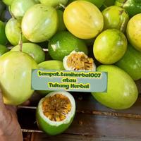 Gambar Buah markisa/Buah langka/buah markisa kuning/selalu Ready stok 1kg dari Toko aaminn undefined 1 Tokopedia